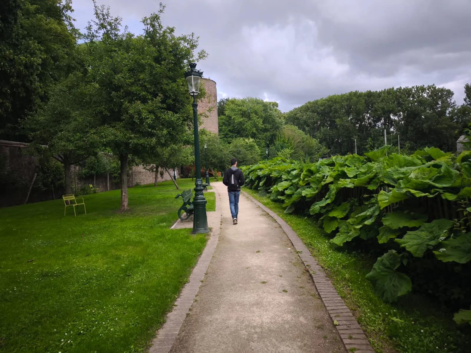 Brujas 22