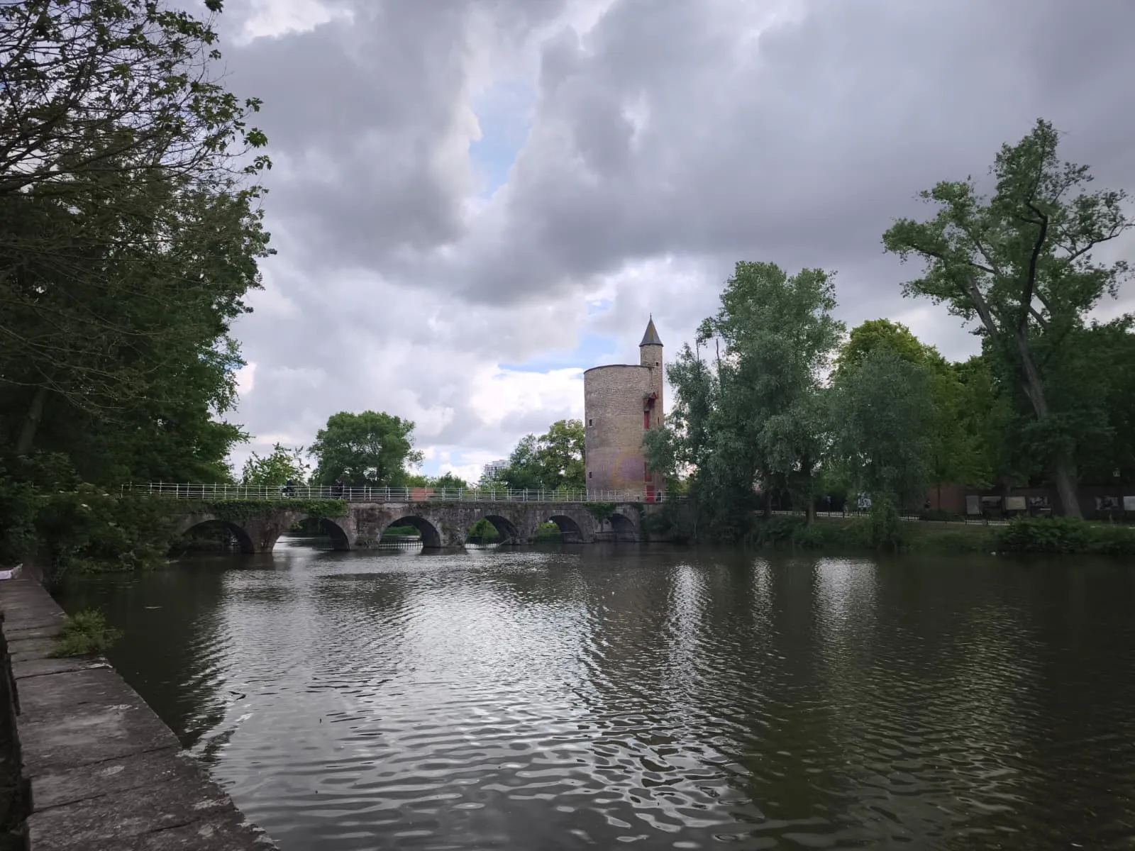 Brujas 25