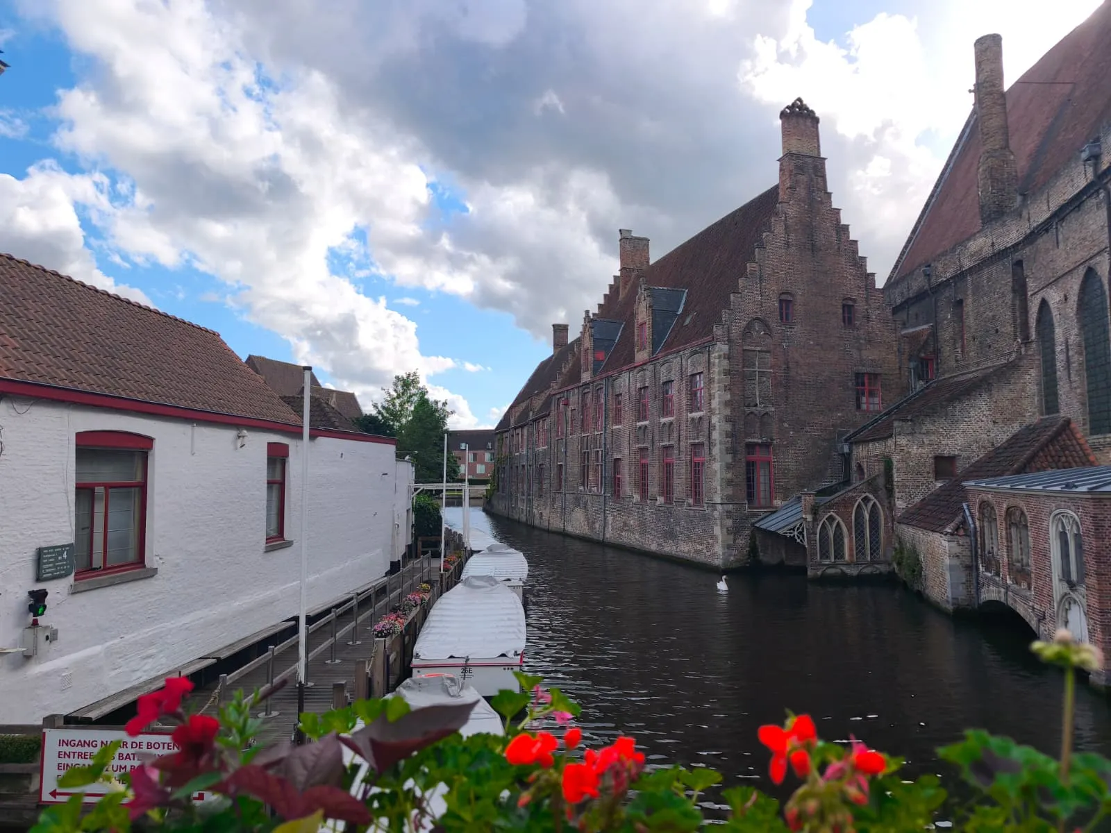 Brujas 43