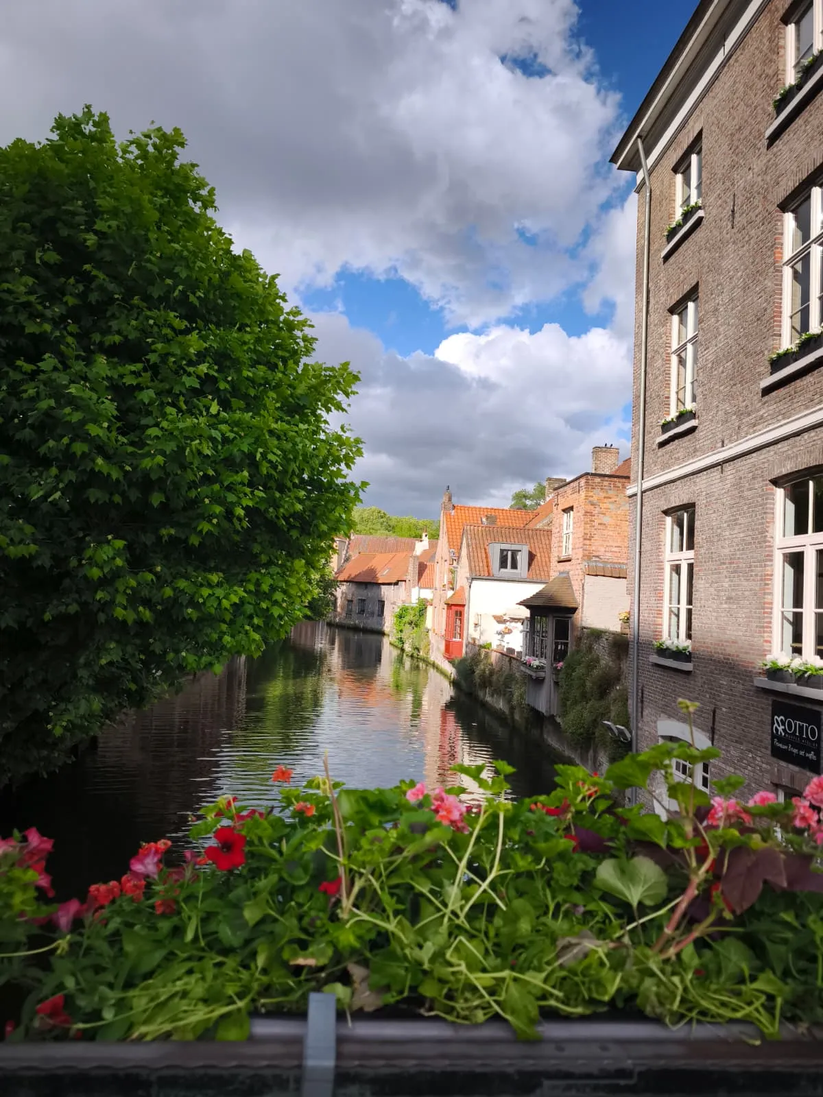 Brujas 44