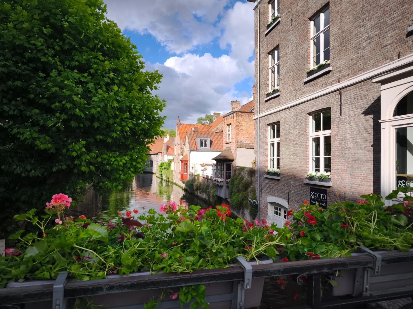 Brujas 45