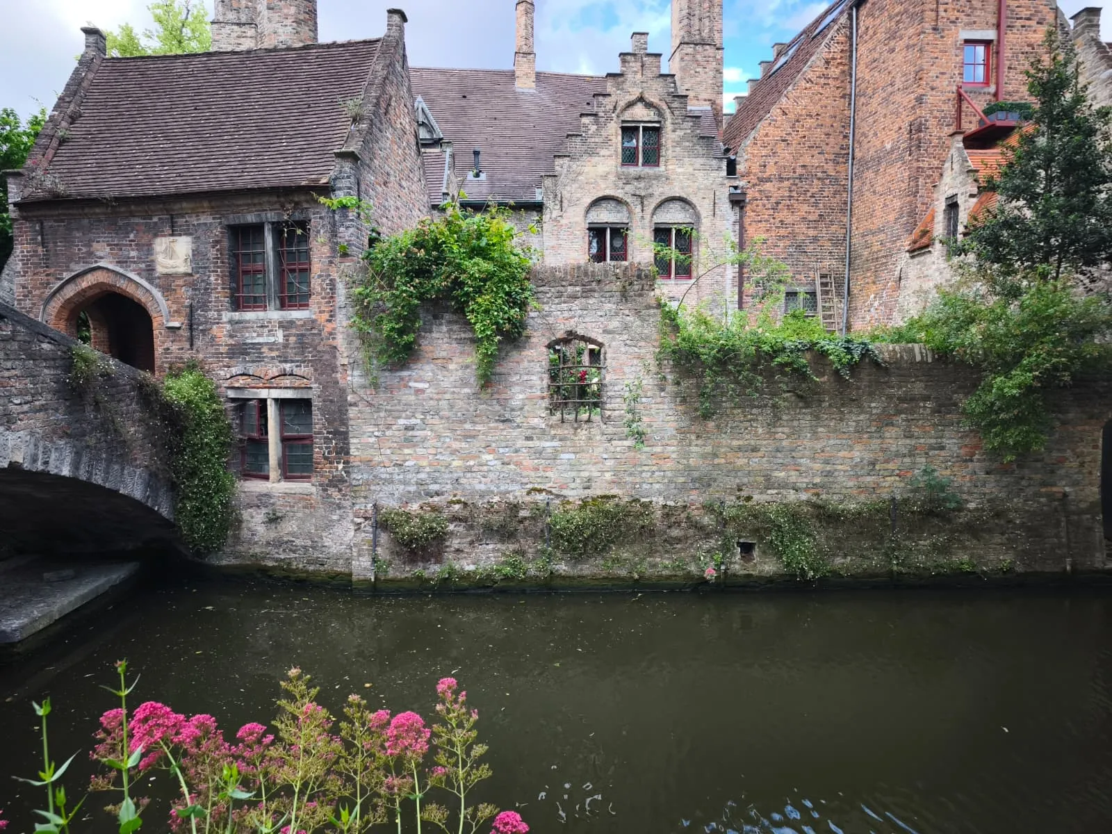 Brujas 48