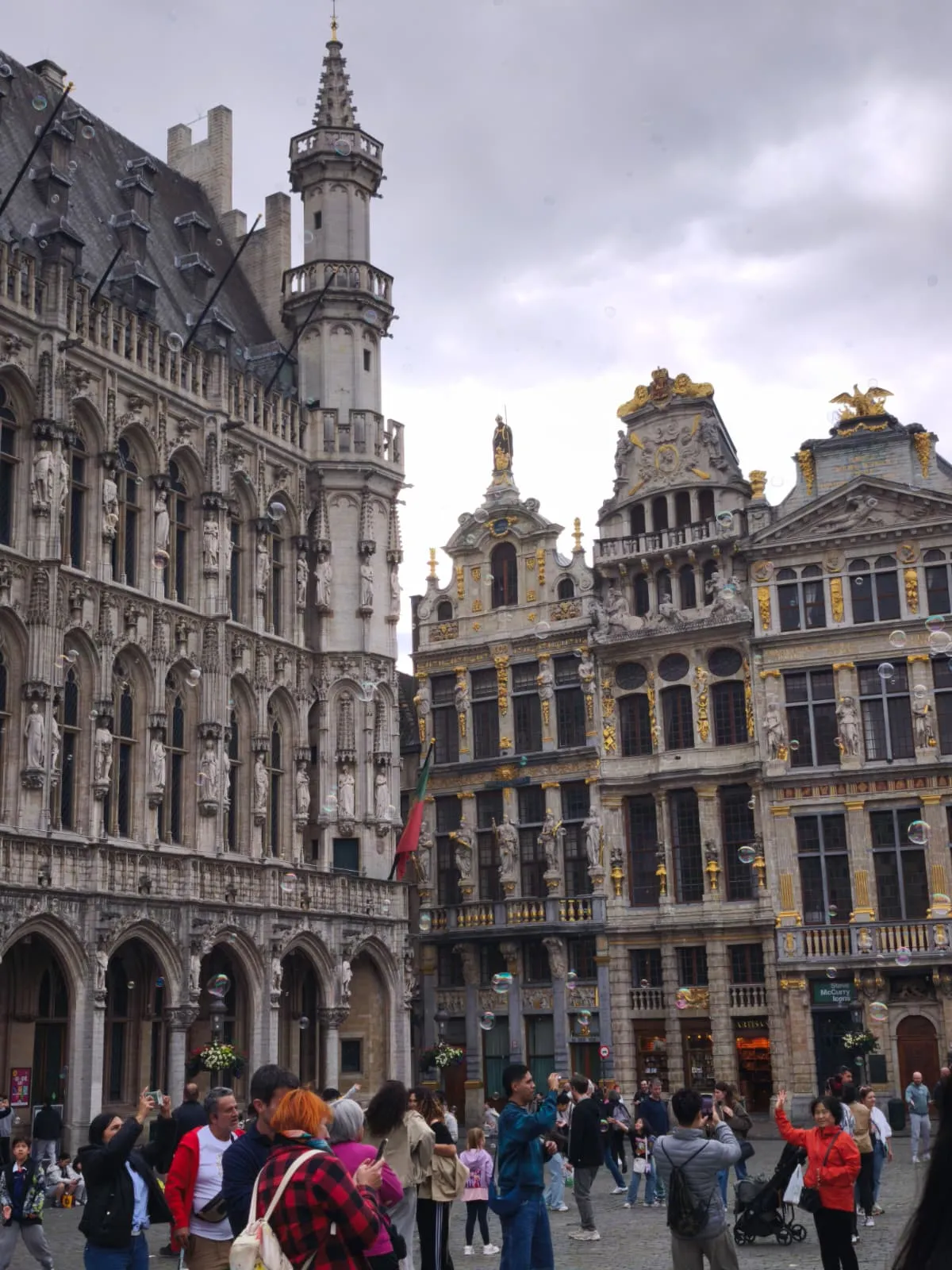 Bruselas 8