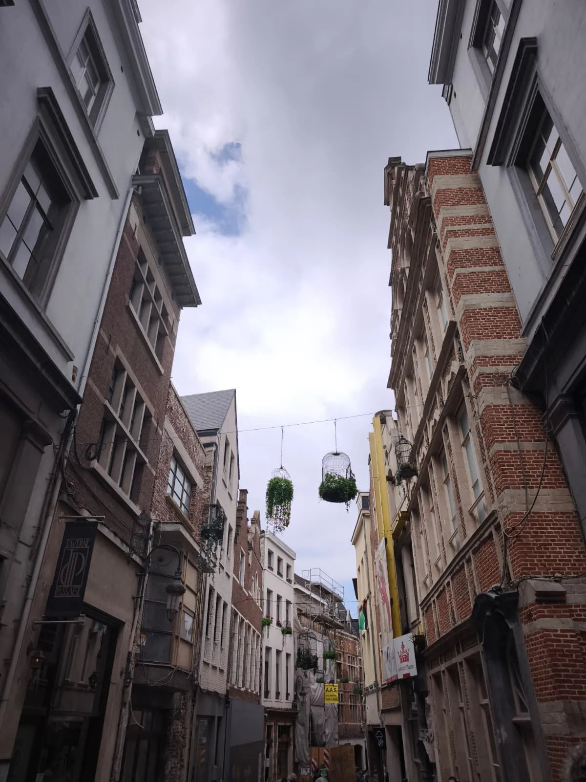 Bruselas 13