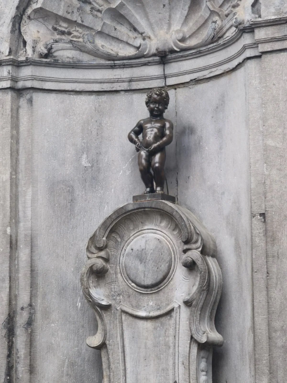 Bruselas 26